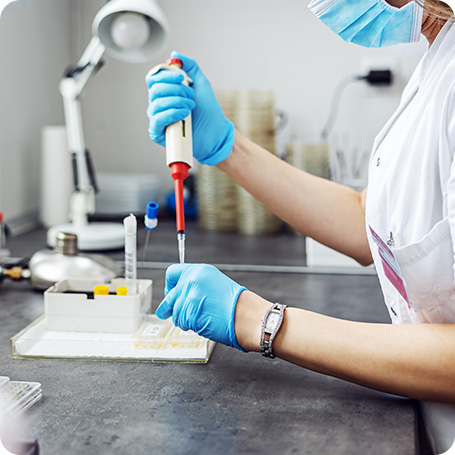 demo38.demoyeri.info