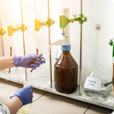 demo38.demoyeri.info