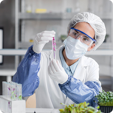 demo38.demoyeri.info