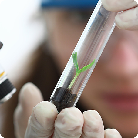 demo38.demoyeri.info