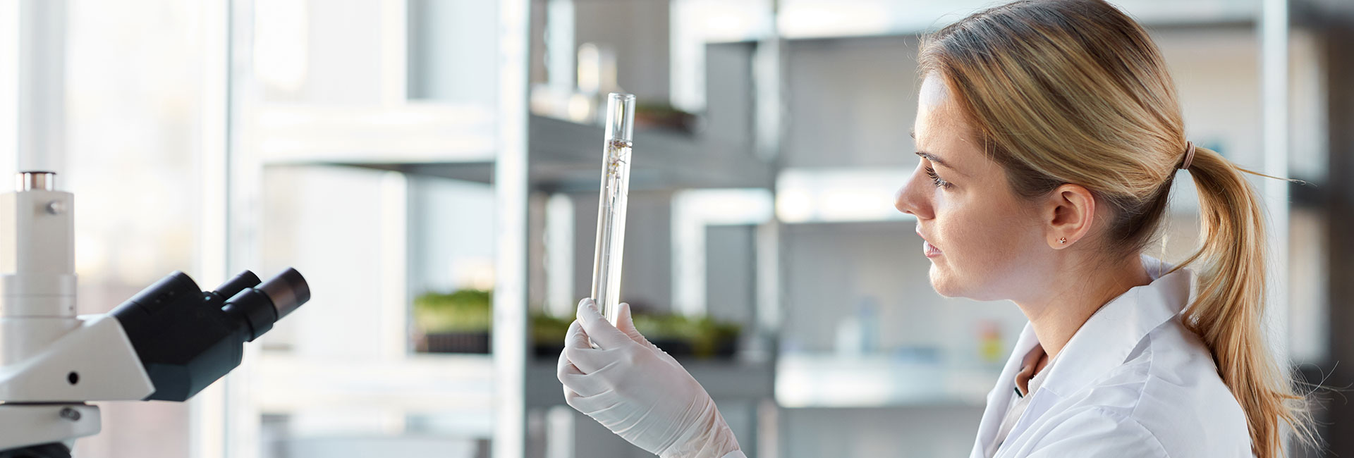 demo38.demoyeri.info