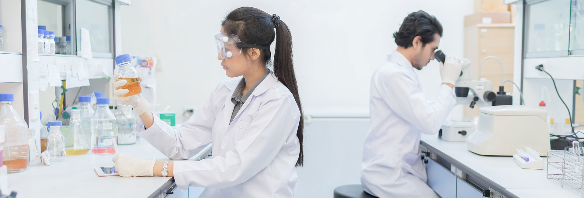 demo38.demoyeri.info