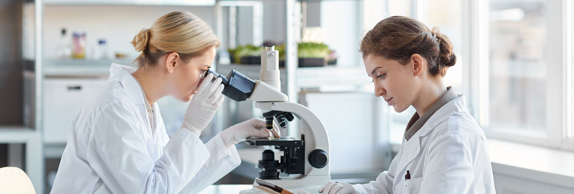 demo38.demoyeri.info