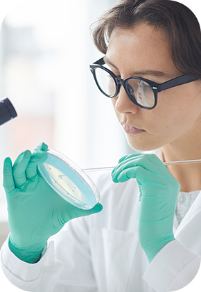 demo38.demoyeri.info