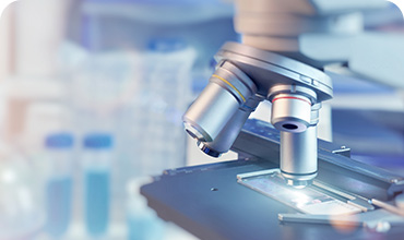 Hizmet Adı 3,demo38.demoyeri.info