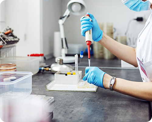 Çözüm 1,demo38.demoyeri.info